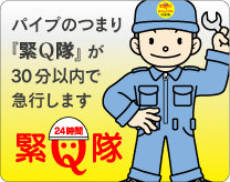 �p�C�v�̂܂�w��Q���x��30���ȓ��ŋ}�s���܂��I�I
